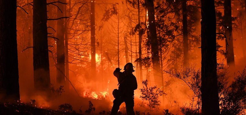 EXTREME WEATHER CONDITIONS IN CALIFORNIA COULD STOKE WILDFIRES