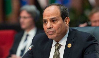 Situation in Gaza cannot afford delay of cease-fire: Sisi