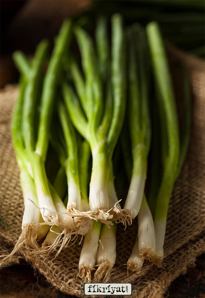 YEŞİL SOĞANIN FAYDALARI