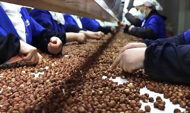 Türkiye exceeds 85,000 tons in hazelnut exports to Germany