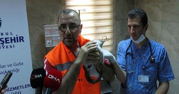 Istanbulite road worker saves kitten with breath of life