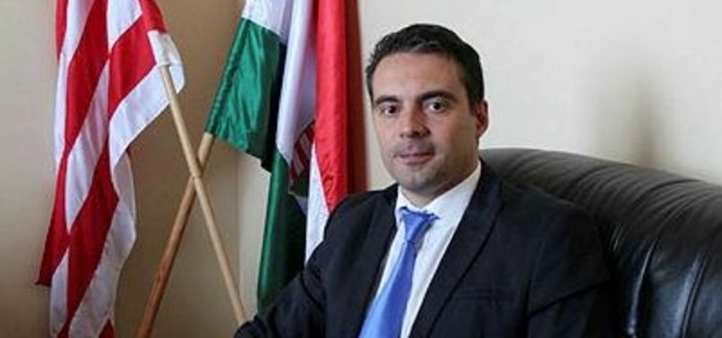 EX-HUNGARIAN OPPOSITION LEADER PRAISES TURKEY