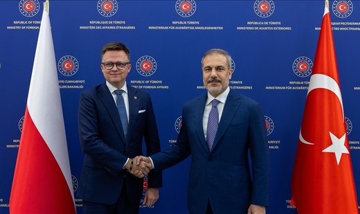 Turkish FM meets Polish parliament speaker in Ankara