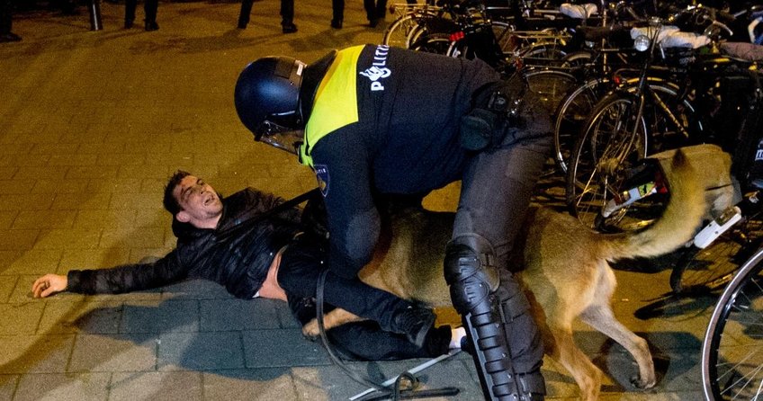 Hollandalı olduğum için utanıyorum