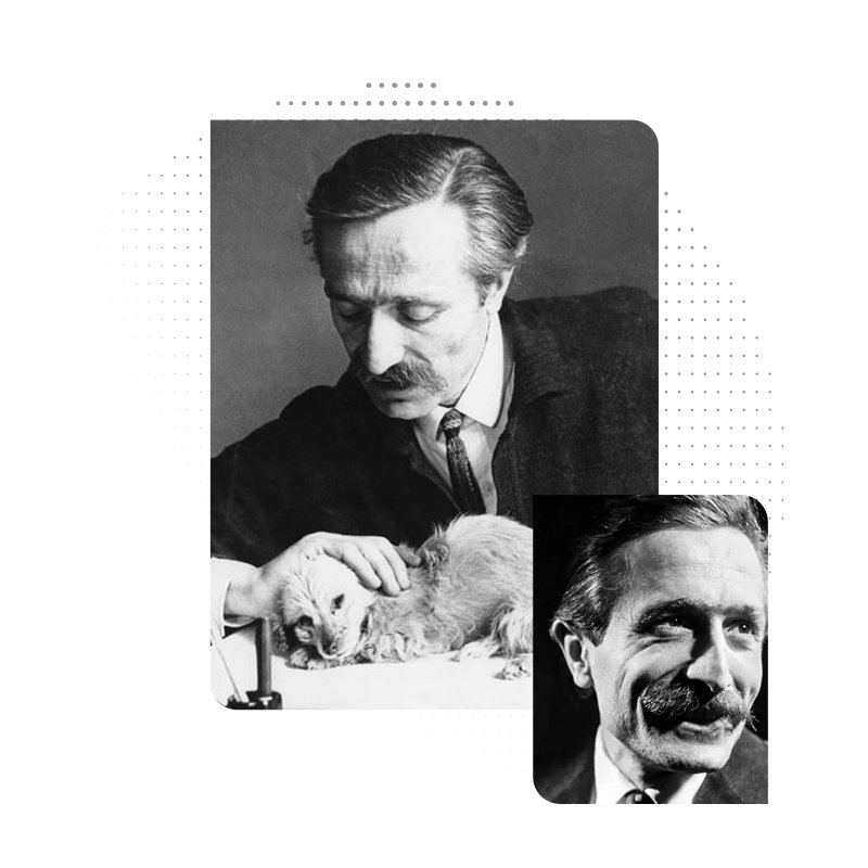 Özdemir Asaf Fikriyat Gazetesi