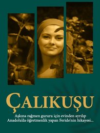 Çalıkuşu 