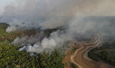 Deforestation in Brazil's Amazon down 30% in February