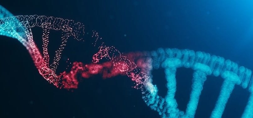 GENETIC FACTORS IMPACT ON LIFESPAN EXCEEDS ESTIMATIONS