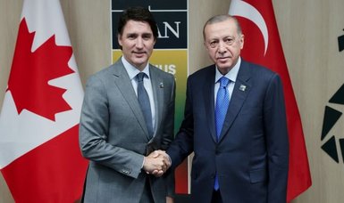 Canada unfreezes talks with Türkiye on export controls after NATO move - source
