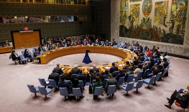 UN Security Council renews mandate of peacekeeping mission on Cyprus for another year