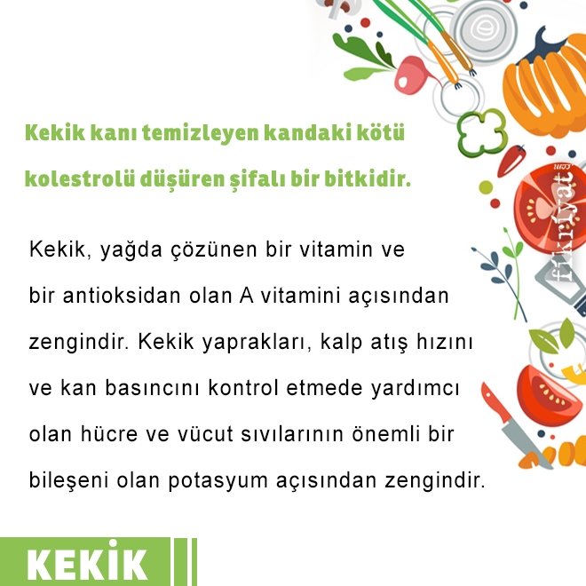 KEKİĞİN FAYDALARI NELERDİR?