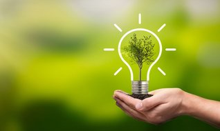 Çevreci girişimciler aranıyor!