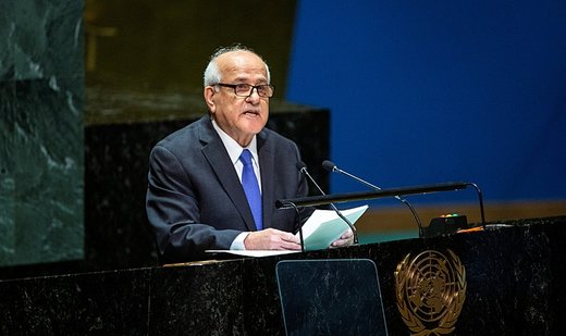 Gaza to haunt conscience of world: Palestine’s UN envoy