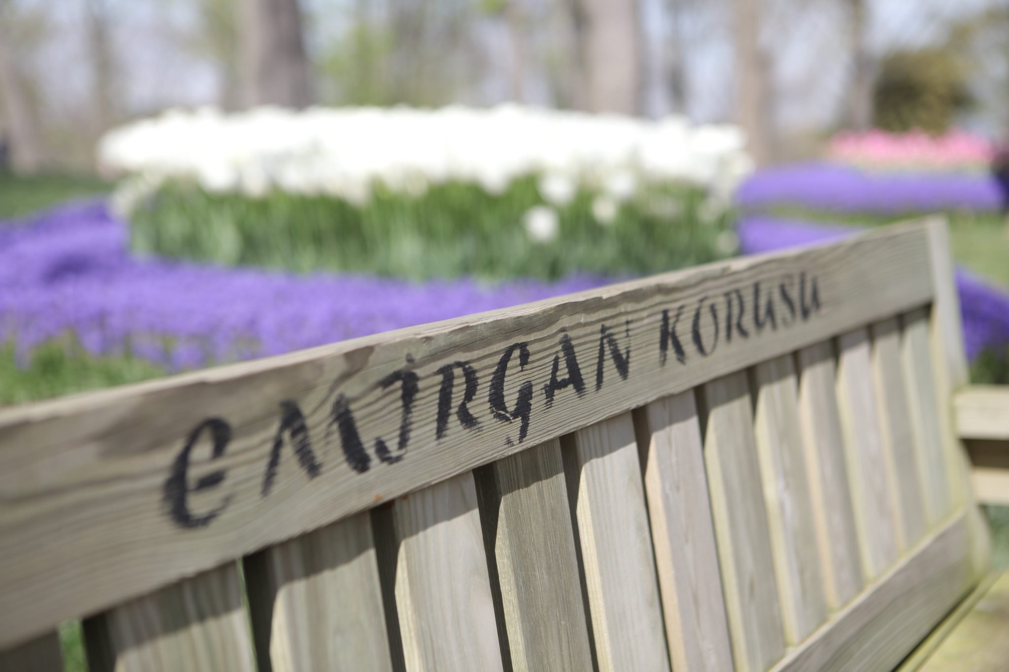 İstanbul Boğazının Balkonları Korular