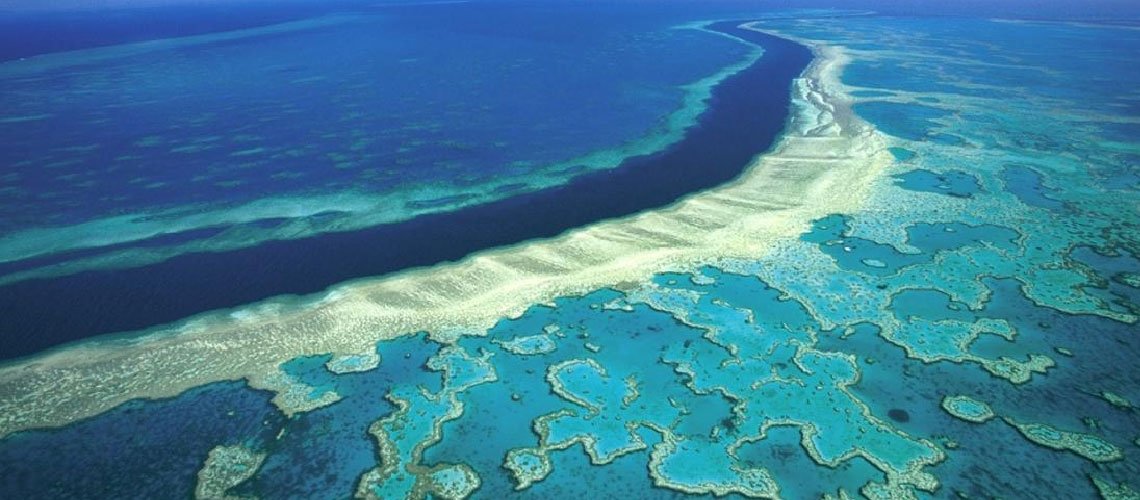 Büyük Set Resifi - Avustralya