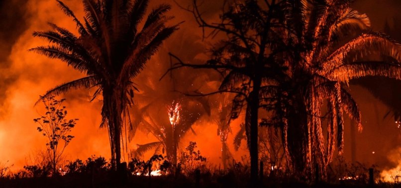 NUMBER OF BRAZIL AMAZON FIRES HITS FIVE-YEAR HIGH IN AUGUST