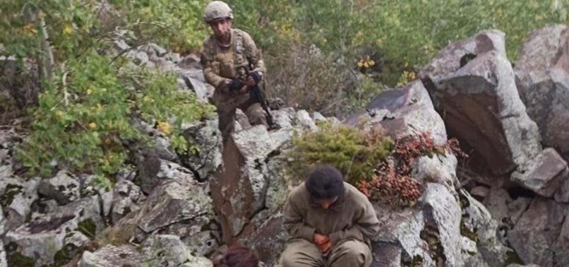 4 PKK TERRORISTS SURRENDER TO TURKISH SECURITY FORCES