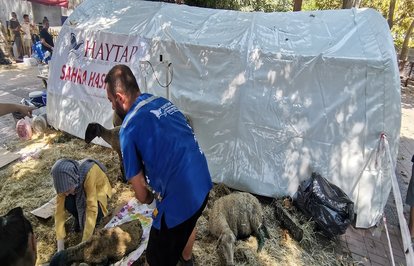 HAYTAPtanyangınbölgelerineyaşamhastanesi