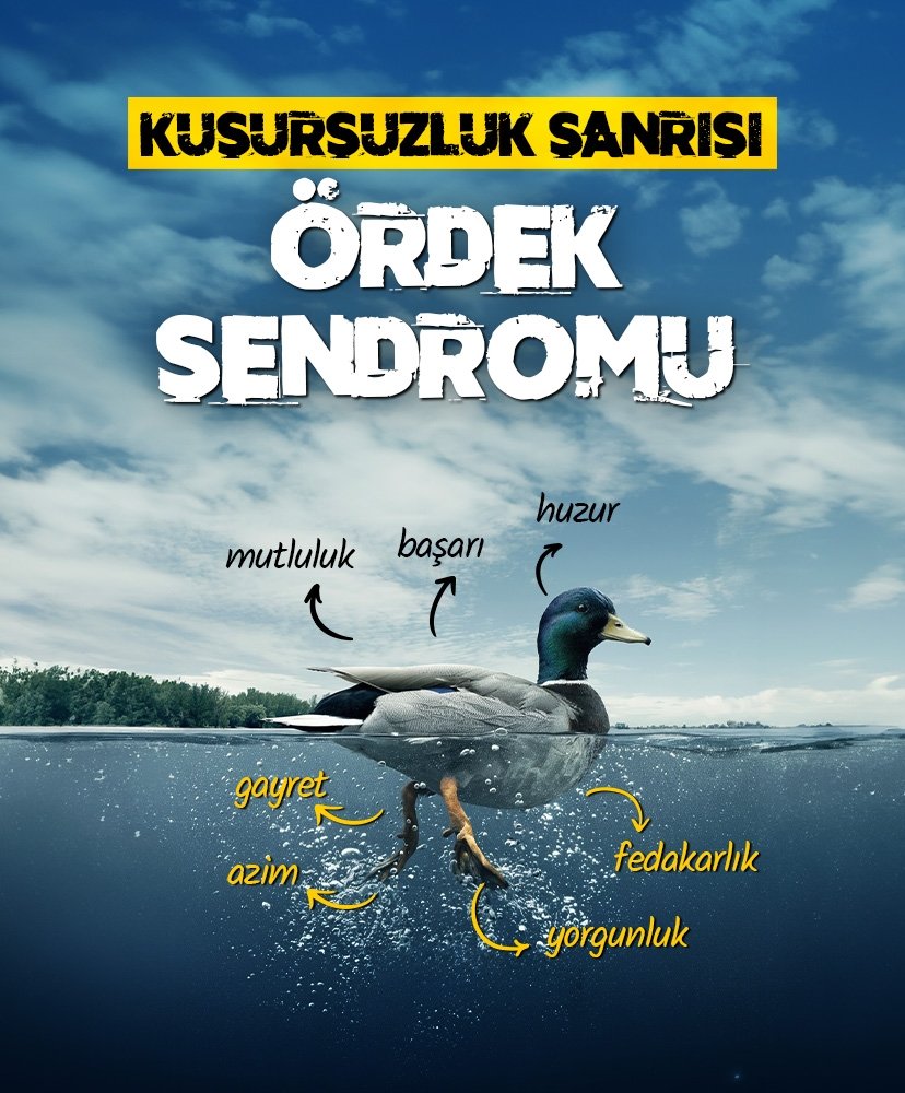 Kusursuzluk sanrısı: Ördek sendromu