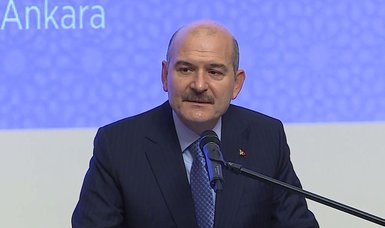 Turkish Interior Minister Soylu tests positive for COVID-19