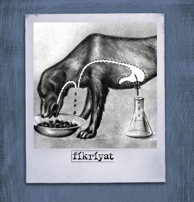 PAVLOV’UN KÖPEK ORDUSU