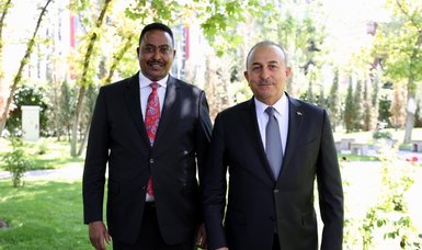Çavuşoğlu discusses conflicts, food insecurity with African regional bloc head