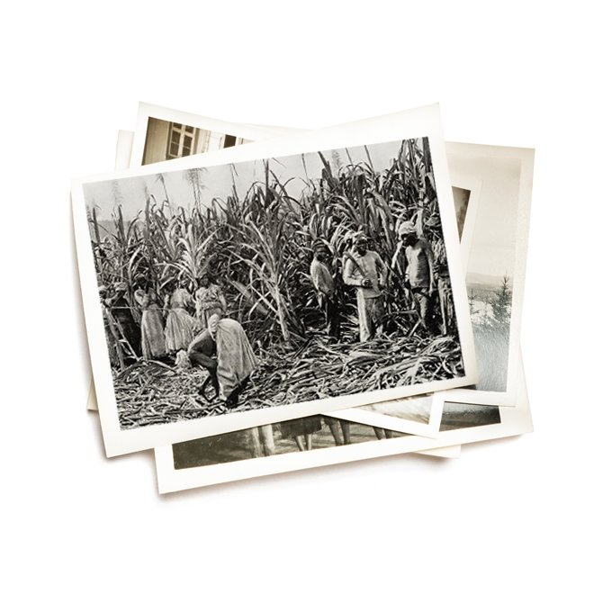 ALLAH KORKUSU OLMAYAN KÖTÜ ADAMLAR