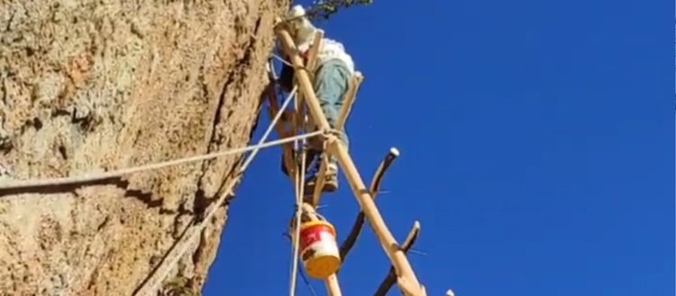 Van’da arıcılar, kaya balına ulaşabilmek için 11 metrelik merdiven yaptı