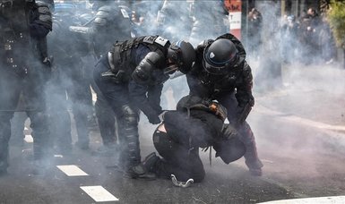 Investigations launched into French police violence against protesters: Media reports