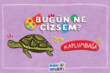 Bugün ne çizsem - Kaplumbağa / MAVİMİSKET