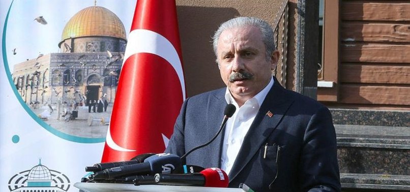 TURKISH PARLIAMENT SPEAKER CALLS FRENCH MOTION ON UPPER KARABAKH ABSURD