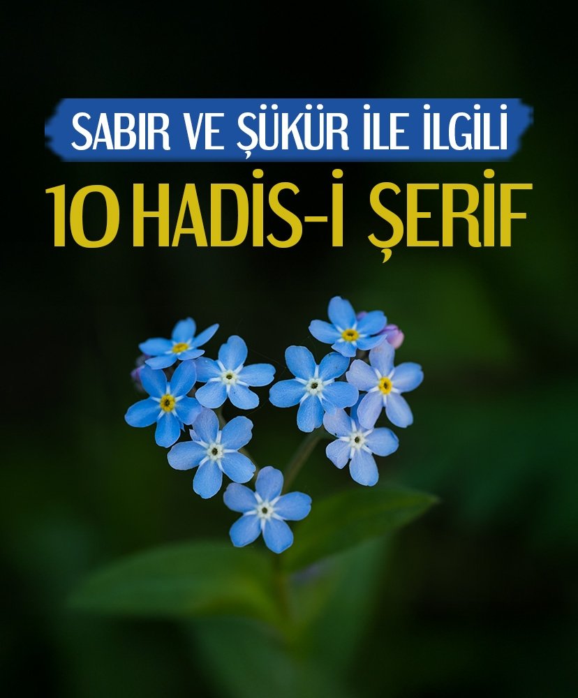 Sabır ve şükür ile ilgili 10 hadis
