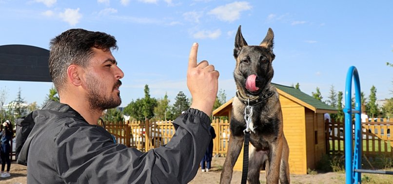 TÜRKIYE HONORS MEXICAN RESCUE DOG WITH TRAINING GROUND NAMED AFTER IT