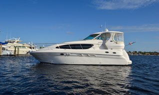 Piyasanın en yenileri