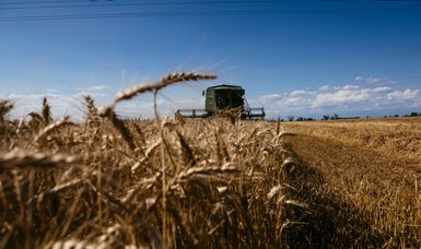 G7 calls for extension, full implementation and expansion of Black Sea grain deal