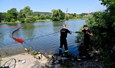 Tests in German lagoon provide no answers to Oder fish die-off