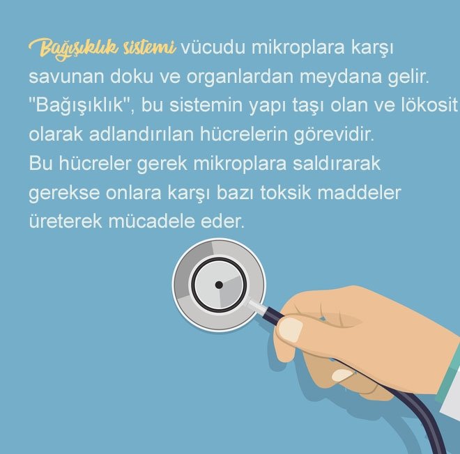 BAĞIŞIKLIK SİSTEMİ NE DEMEK?