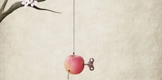 Hayatı ölümle anlamak