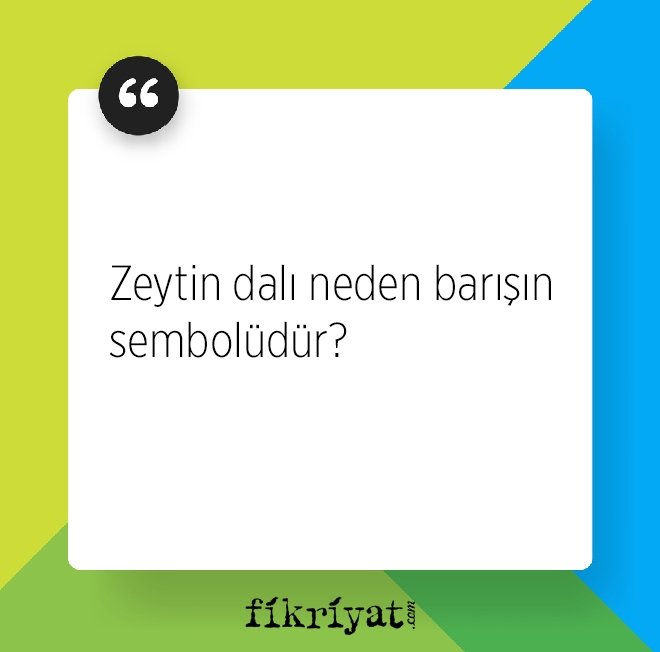 Zeytin dalı neden barışın sembolüdür?