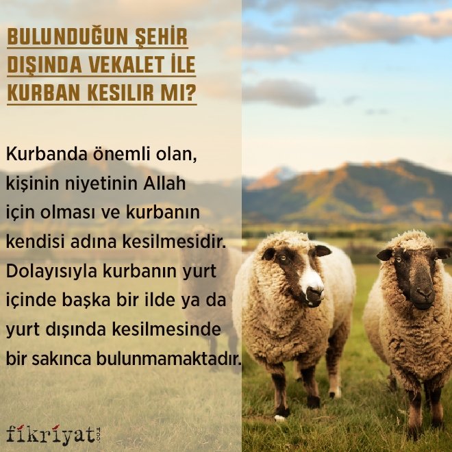 Vekalet veren kişi ölürse ne olur Vekalet veren kişi ölürse ne olur