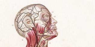 Tıbbın bir sorunu mu var?