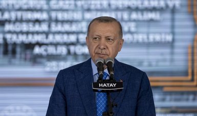 Turkey's Erdoğan dismisses possibility of early elections