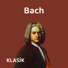 Orchestral Suite No.2 in Bm BWV 1067, Sarabande