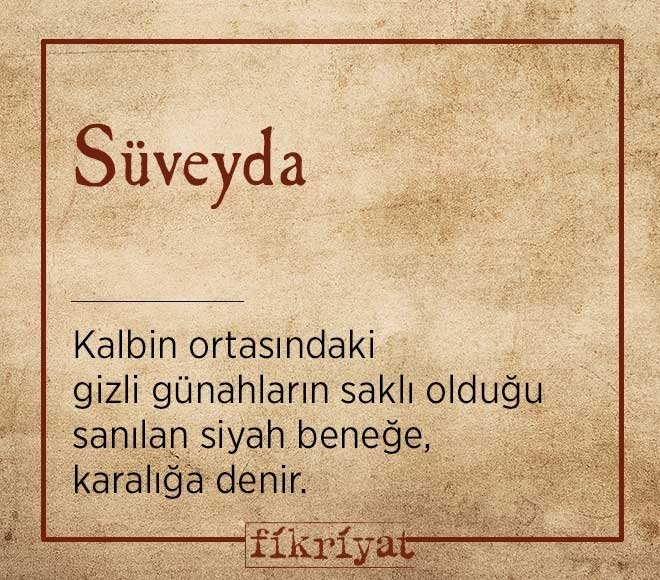 Süveyda