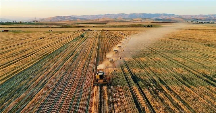 Tarım ürünleri üretici fiyatları azaldı