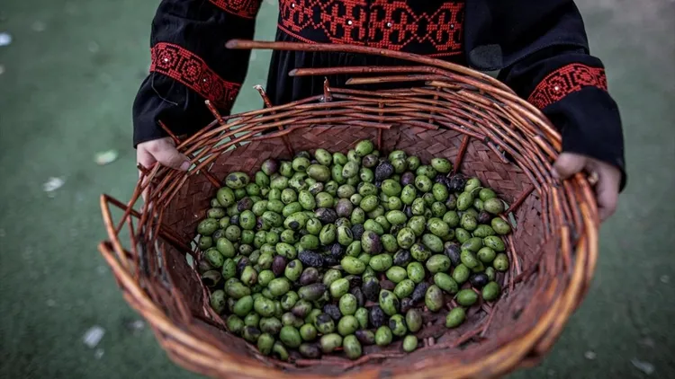 Children keep their traditions alive in Gaza on Palestinian Heritage Day