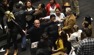 'Embarrassment' after Bolivian lawmakers brawl in parliament