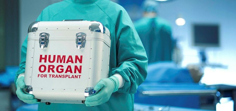 ORGAN TRANSPLANTS LET ONE PERSON SAVE 4 LIVES
