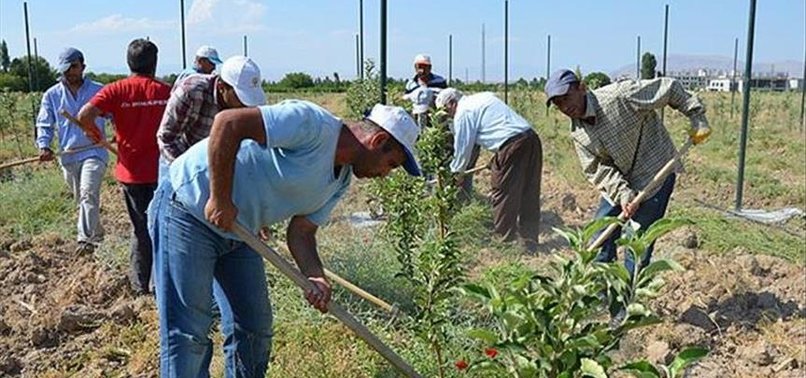 UN TO TEACH AGRICULTURE TO SYRIAN REFUGEES IN TURKEY