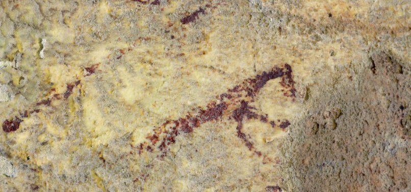 WORLDS OLDEST ARTWORK UNCOVERED IN INDONESIAN CAVE